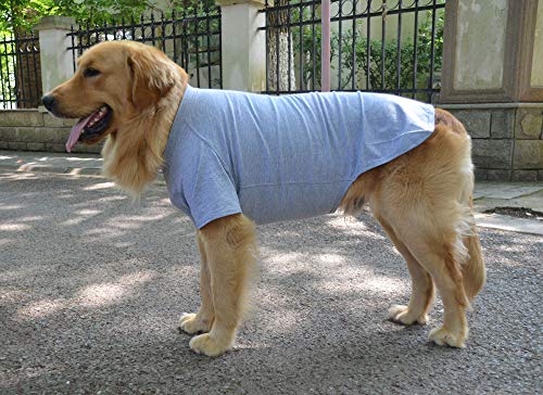 Longlongpet Haustier Kostume Fur Welpen 18 Farben 100 Baumwolle Hunde T Shirt T Shirts Fur Grosse Mittelgrosse Und Kleine Hunde Unbeschriftet Hunde Haustier Ayurvedanetworkbhu Com