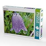 Puzzles sind unterhaltend, fördern Wohlbefinden und stimulieren beide Hälften des Gehirns. Das kann die mentale Leistungsfähigkeit sowie Konzentration und Gedächtnis fördern