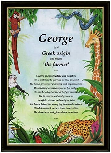 PERSONALISED FIRST NAME MEANING & ORIGIN GIFT in a lovely Jungle background - Unique & Ideal Christmas or Birthday Presents for a special child - Only £9.99