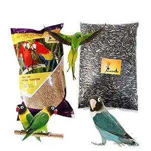 Parrots Wizard, Small Size Kangani and Small Size Sunflower Seeds Combo Pack (Each 900 Grams)
