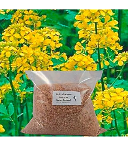 Tratamiento De Semillas | Mi Cultivo Con Bayer