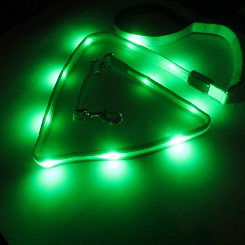 Blazin 'LED Sicherheit für Hunde Leine - USB Wiederaufladbar Blinklicht, 4 ft & 6 ft, Wasserabweisend - Vermeiden Gefahr, Small, Grün