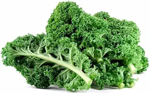 Brassica Leave Kale (Edible) Green Leaves, 40 Seeds Pack by Seedscare