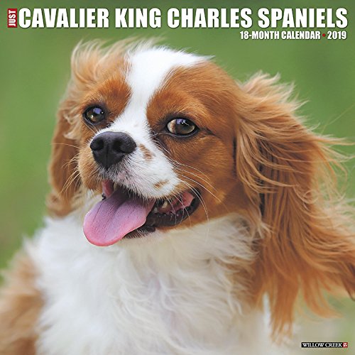 Download Just Cavalier King Charles Spaniels 2019 Calendar