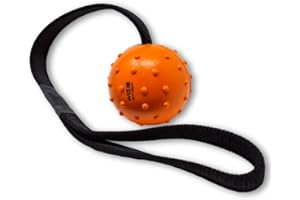 WEPO Ball mit Schnur Orange - Hunde Spielsachen - Wurfspielzeug für Hunde - dog toys for large dogs - Gummiball Hund zum Schleudern & Werfen im Garten - Mit Zahnpflegefunktion