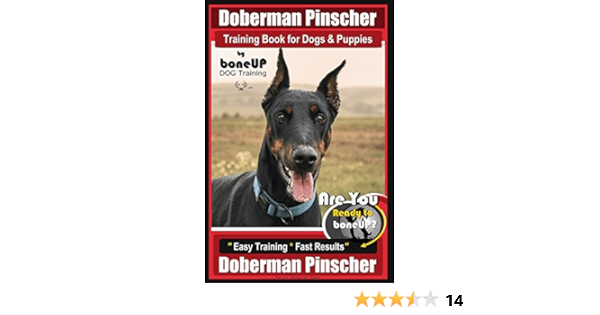 doberman potty training