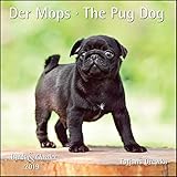 Der Mops The Pug Dog 2019 - Broschürenkalender - Wandkalender - mit herausnehmbarem Poster - Format 30 x 30 cm by 