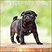 Der Mops The Pug Dog 2019 - Broschürenkalender - Wandkalender - mit herausnehmbarem Poster - Format 30 x 30 cm by 