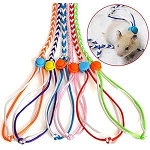 Haustier Ratte Maus Leine Blei Harness Seil Hamster Rat Einstellbare Seil Gelegentliche Farbe
