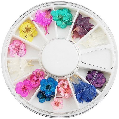 Well-Goal 60pcs Wonderful Design Dried Flower Nail Art