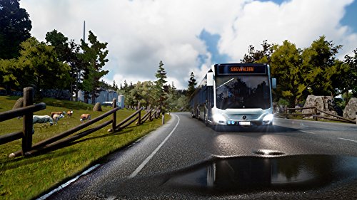 Bus Simulator 18  PC DVD   Importaci  n inglesa 
