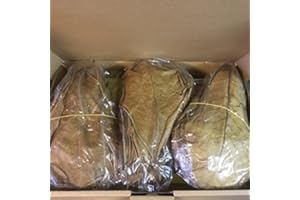 garnelenshop24de Seemandelbaumblätter mit Stiel 20-25cm (=250 Gramm >100 Stück) Catappa Leaves TopQualität - BLITZVERSAND