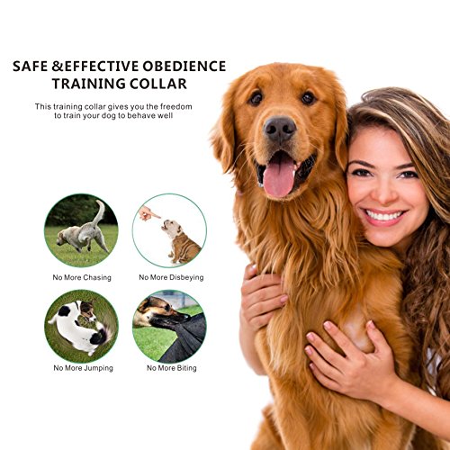 Fanme-800-Yards-Remote-Dog-Training-Collar-Rechargeable-Pet-Training-Collar-with-Automation-Adjustable-Beep-Vibration-Flashlight