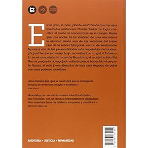 EL ÚLTIMO GATO BIRMANO (Jóvenes Lectores)