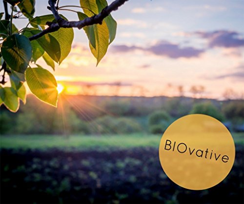 Kompostierbare Bio-Müllbeutel 10 Liter – 100 besonders reißfeste Bio-Beutel – 100% kompostierbar und biologisch abbaubar – Bio-Müllsäcke für Ihre Biotonne oder den eigenen Kompost - 5