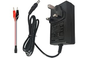 POLYNX 24 Volt Battery Charger for Ride on Toys Car, 24V 1000mA Charger for Kids Electric Car,Suitable for Kid's Car Jeep Tractor Motorcycle ATV Accessories, Free Alligator Clip