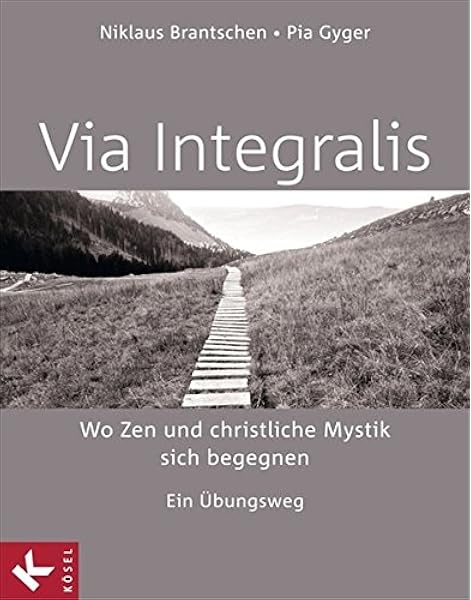 Via Integralis Wo Zen Und Christliche Mystik Sich Begegnen Ein Ubungsweg Unter Mitarbeit Von Bernhard Stappel Amazon De Brantschen Sj Niklaus Gyger Pia Bucher