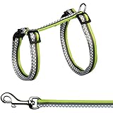 Trixie Hundegeschirr aus Nylon mit Leine für KANINCHEN und kleine Nagetier