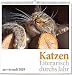 Wandkalender: Katzen - Literarisch durchs Jahr 2019. Vierfarbig, Format 50 x 50 cm by 
