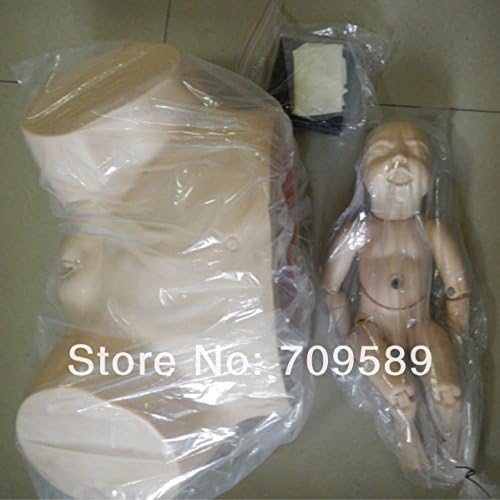 ISO Advanced Difficult Labour Training simulator, Birthing Simulator, Childbirth Manikin