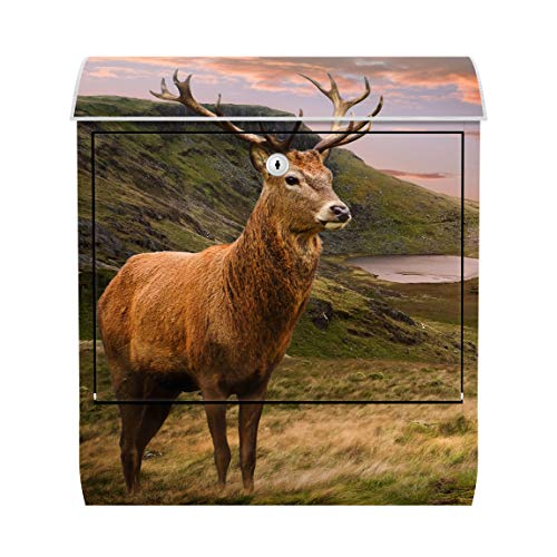 Preisvergleich Produktbild Room ID Briefkasten mit Zeitungsfach - Rotwild