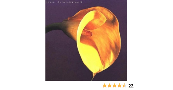 Buy The Burning World Online At Low Prices In India Amazon Music Store Amazon In