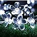 Produktbild bloatboy  7m 50 LED Lichterkette Solar Cherry Light String Urlaub Dekoration Laterne String Halloween Hof Garten im Freien Party Home Decor (Weiß)