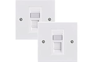 LEENUE RJ45 Socket Cat6, Single Ethernet Wall Socket, RJ45 Network Wall Plate 2 Pack with Keystone Jack, White