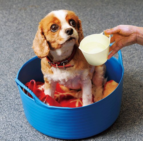 Tubtrug Wanne klein flexibel (15 L) 39x39x16 cm grün - 2