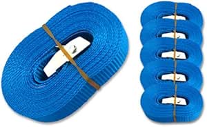 MGS SHOP 6 Spanngurte Zurrgurte 250 Kg 4 m mit Klemmschloss Schnellspannung Farbe wählbar (blau)