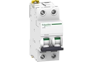 Schneider Electric A9F75225 Interruptor Automático Magnetotérmico Ic60N, 2P, 25A, Curva D
