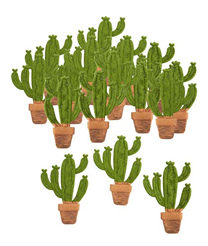 Preisvergleich Produktbild Streuteile Kaktus