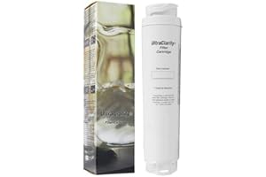 Bosch Neff Siemens Water Filter