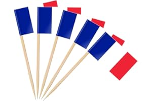 NOKDAL 200 pz Francia Stuzzicadenti Bandierine Bandiere del Mondo Stuzzicadenti Decorativi Bandierine Bandierine per Cocktail per Bandierine Panini Tazze di Torte, Barbecue e Bastoncini da Cocktail