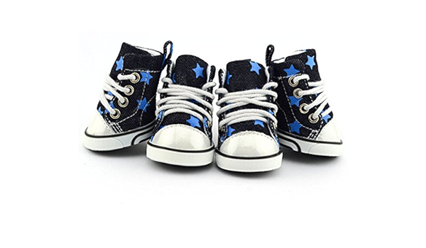 dog sneakers converse