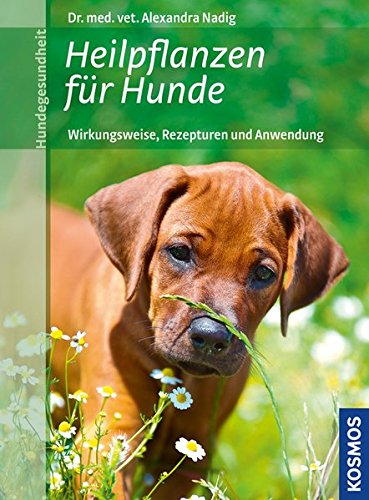 Download Heilpflanzen für Hunde: Wirkungsweise, Rezepturen und Anwendung
