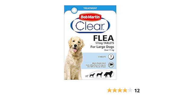 dog flea shampoo asda