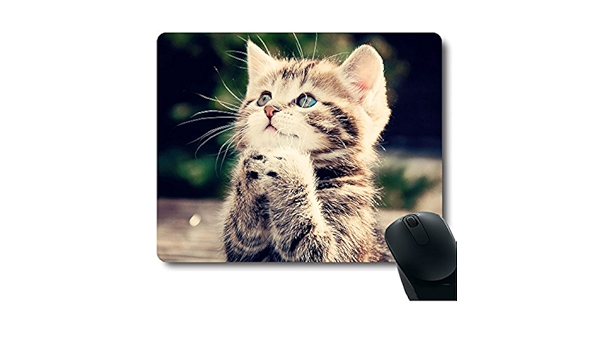 Tapis De Souris Au Design Unique En Forme De Chat Qui Prie Amazon Fr Fournitures De Bureau