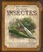 Etonnants insectes - Paul Beck, Mark Dando, Ryan Hobson, Josette Gontier