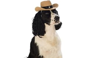 Horror-Shop Cooler brauner Cowboy-Hut für Hunde zu Fasching & Halloween S/M