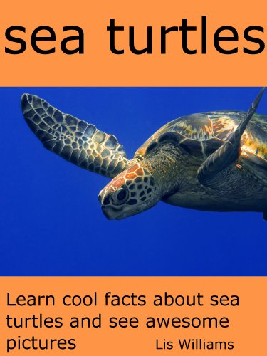 Download Sea Turtles - Learn Cool Facts about Sea Turtles and See Awesome Pictures Download Sea Turtles - Learn Cool Facts about Sea Turtles and See Awesome Pictures