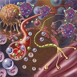 Póster 70 x 70 cm: Nerve with Myelin Sheath