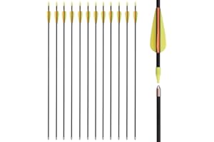 TY ARCHERY Recurve Bow Arrows 28 30 32 Inch Archery Practice Target Fiberglass Arrows Recurve Bow for Beginners Kids Youth Arrows Outdoor