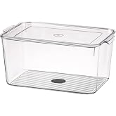 LISHONN Stackable Refrigerator Organizer For Vegetable And Fruit Fridge Storage Container With Lid | Capacity 2L | Pack Of 01