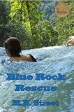 Image de Blue Rock Rescue (English Edition)