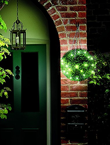 Gardman Künstliche Buchskugel mit, 20 LEDs
