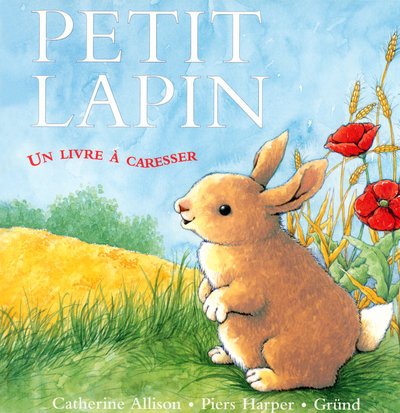 couverture de : Petit lapin