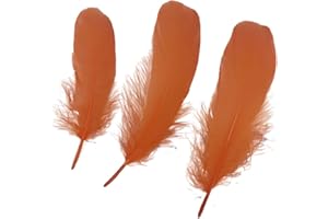 Sowder - Accesorios de ropa de plumas de ganso natural, paquete de 100. Color naranja