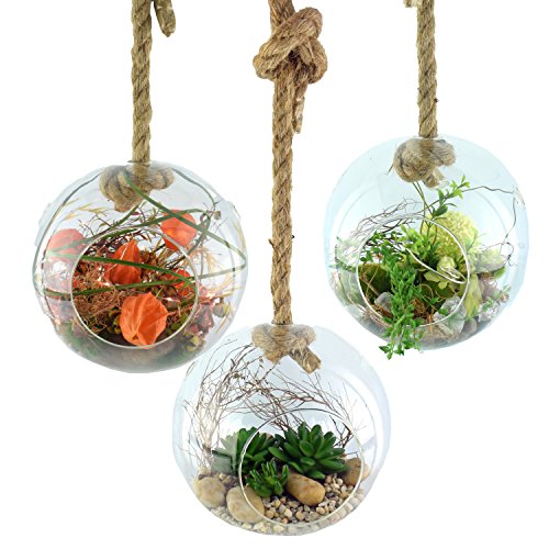 XXL Glaskugel Vase zum aufhängen und Dekorieren mit Pflanzen oder Sukkulenten – Durchmesser 20 cm - 3