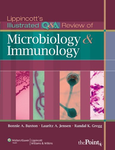 Lippincott's Illustrated Q&A Review of Microbiology and Immunology (Lippincott's Illustrated Reviews Series) by Bonnie A. Buxton (2009-10-01) francais Lippincott's Illustrated Q&A Review of Microbiology and Immunology (Lippincott's Illustrated Reviews Series) by Bonnie A. Buxton (2009-10-01) francais